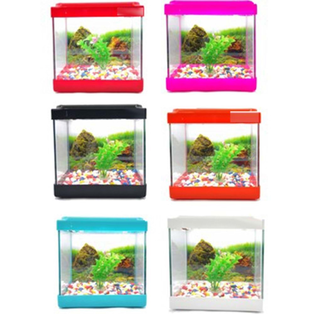 Mini Akvaryum