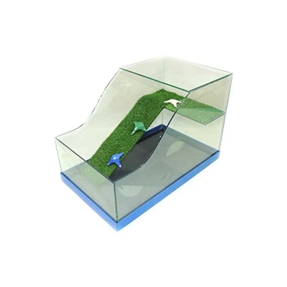 Kaplumbağa Bahçesi Büyük