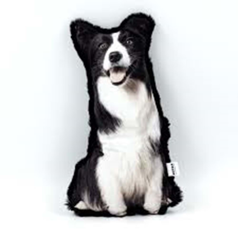 LEPUS 3 Boyutlu Köpek Yastığı