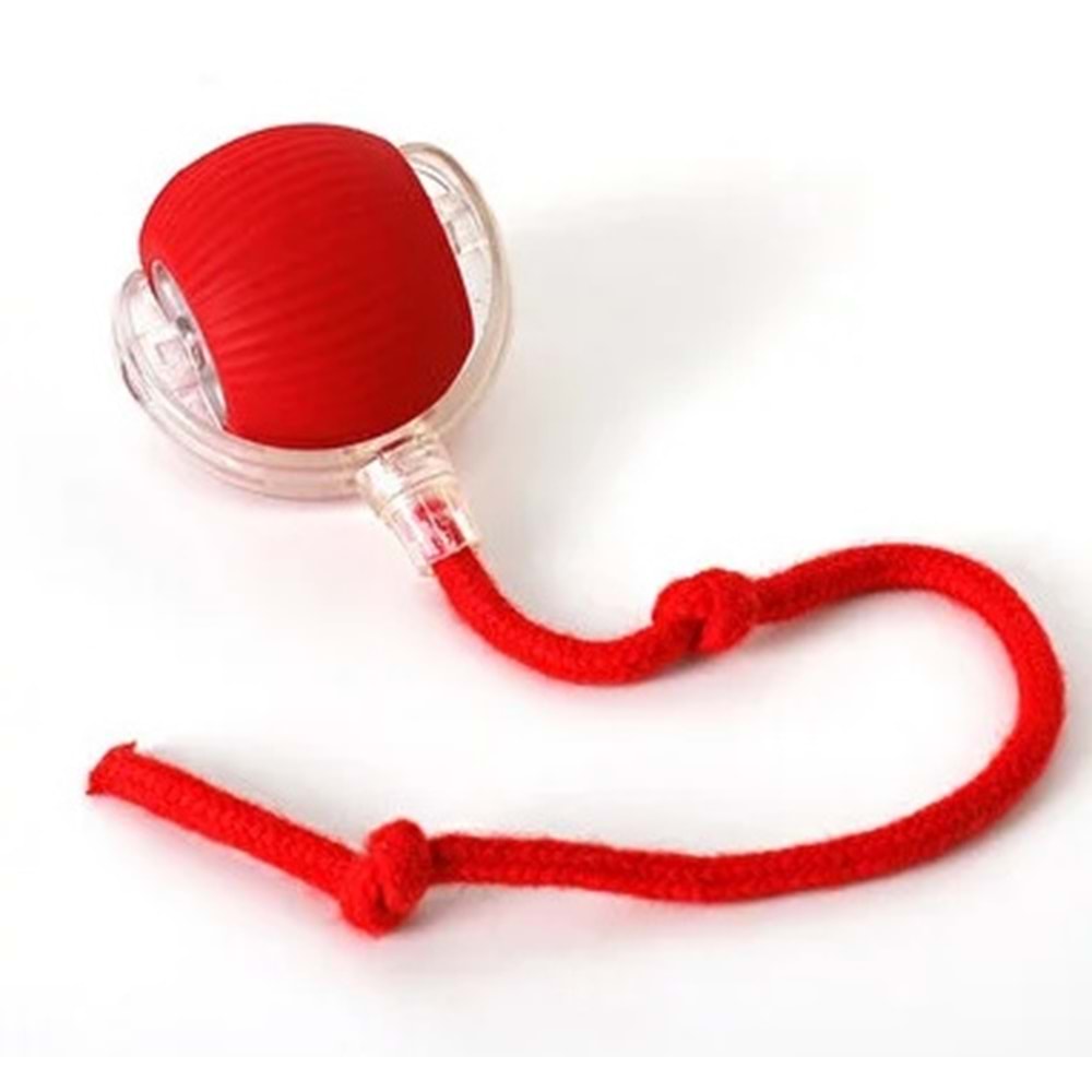 Şarjlı Top Oyuncak