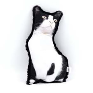 LEPUS 3 Boyutlu Kedi Yastığı