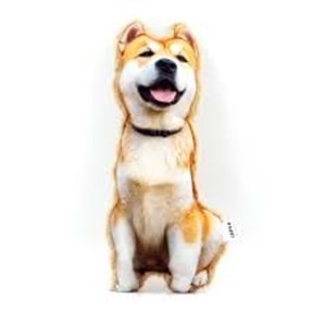 LEPUS 3 Boyutlu Köpek Yastığı