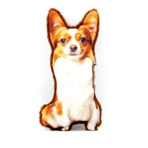 LEPUS 3 Boyutlu Köpek Yastığı