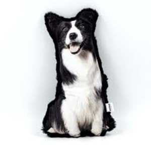 LEPUS 3 Boyutlu Köpek Yastığı
