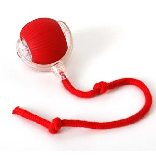 Şarjlı Top Oyuncak