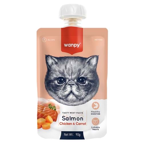 Wanpy Kediler için Somon & Ton Balığı Eti Çorbası