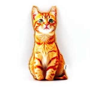 LEPUS 3 Boyutlu Kedi Yastığı