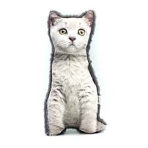 LEPUS 3 Boyutlu Kedi Yastığı