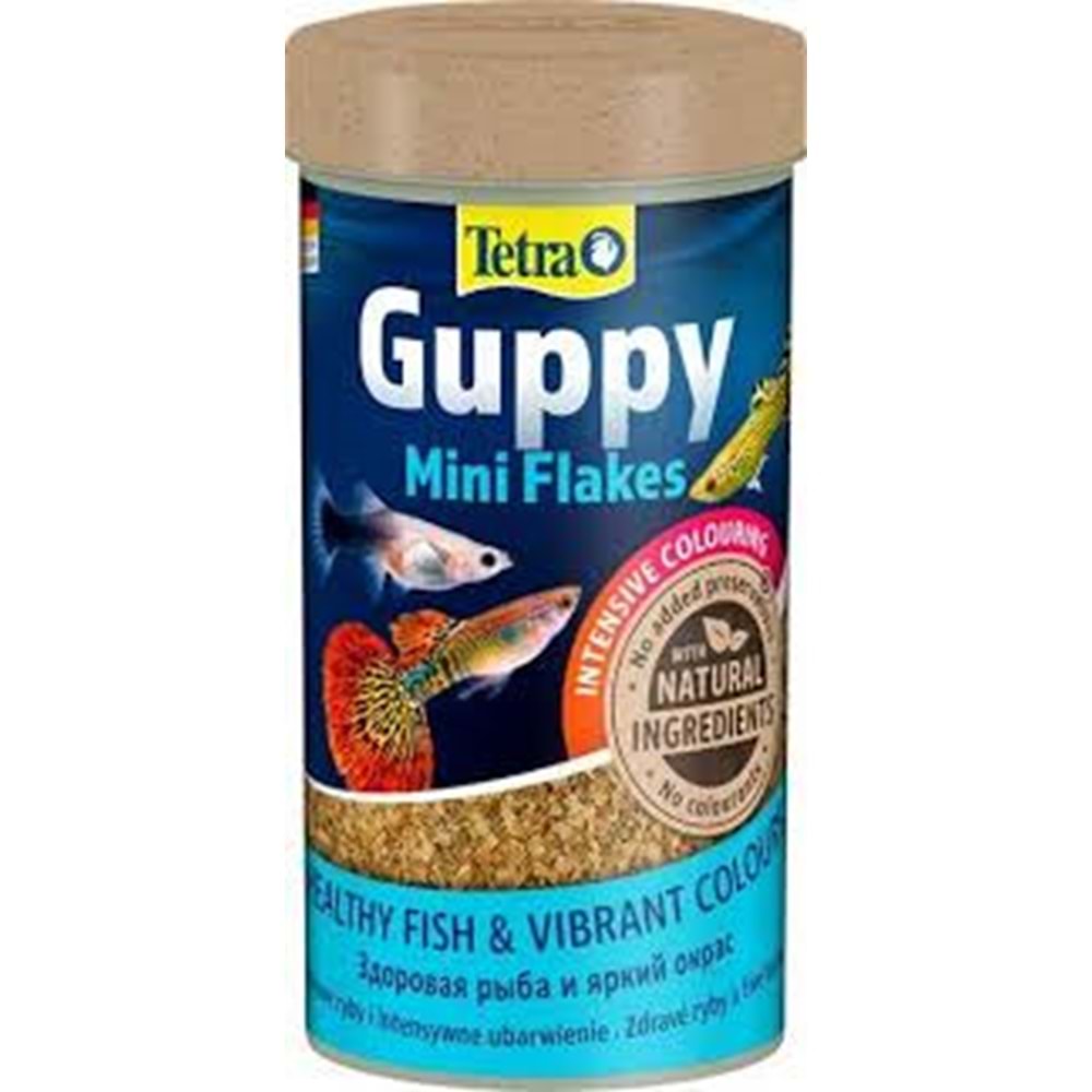 TETRA GUPPY LEPİSTES YEM 100ML